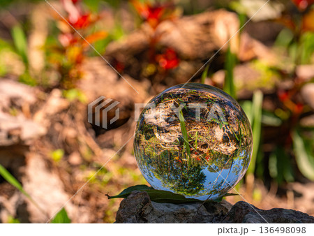 Forest and Blue Sky Reflected in a Crystal Ball 136498098