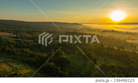 Golden Sunrise Over Misty Forest 136498123