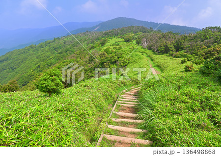 伊豆半島の伊豆山稜線歩道 夏の小達磨山より望む金冠山 伊豆半島の伊豆山稜線歩道 夏の小達磨山より望む金冠山 136498868