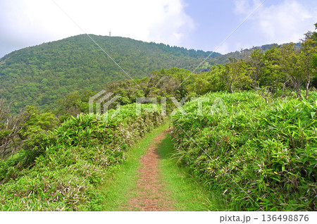 伊豆半島の伊豆山稜線歩道 夏の小達磨山より望む金冠山 伊豆半島の伊豆山稜線歩道 夏の小達磨山より望む金冠山 136498876