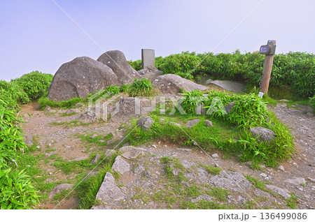 伊豆半島の伊豆山稜線歩道　夏の達磨山山頂 136499086