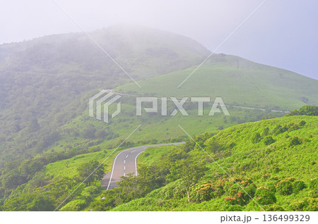 伊豆半島 夏の伊豆山稜線歩道 小達磨山のあせびヶ原より望む霧が晴れ行く達磨山 伊豆半島 夏の伊豆山稜線歩道 小達磨山のあせびヶ原より望む霧が晴れ行く達磨山 136499329