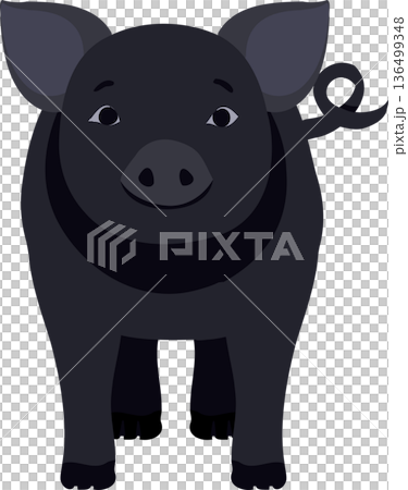 Cute Black Pig Illustration Farm Livestock Animal Flat Design Cute Black Pig Illustration Farm Livestock Animal Flat Design 136499348
