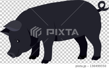 farm black pig character designed as a clean flat illustration for agriculture, breeding and farming concept projects farm black pig character designed as a clean flat illustration for agriculture, breeding and farming concept projects 136499350
