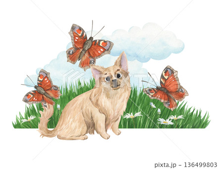 Watercolor illustration of a cute Chihuahua on a summer lawn 136499803