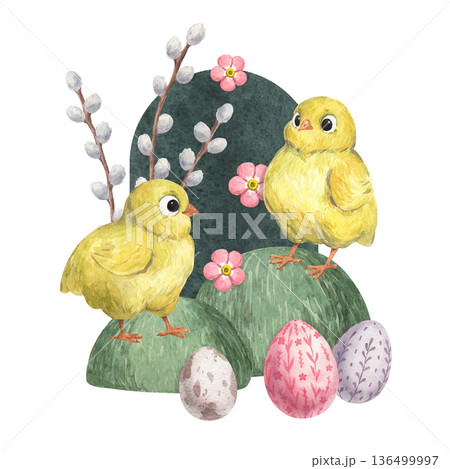Watercolor illustration of cute yellow chicks on a lawn Watercolor illustration of cute yellow chicks on a lawn 136499997