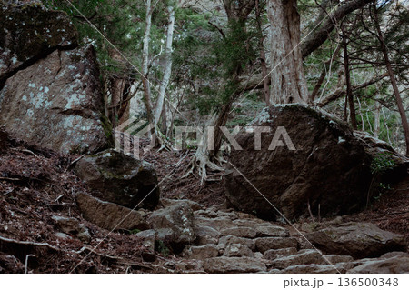 大山阿夫利神社の登山道 大山阿夫利神社の登山道 136500348