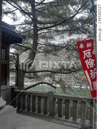 神社境内の松 136500527
