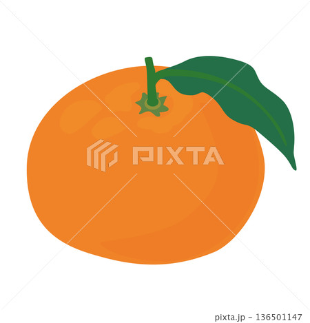 葉っぱ付きのみかんのベクターイラスト 葉っぱ付きのみかんのベクターイラスト 136501147