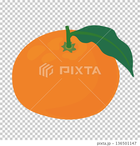 葉っぱ付きのみかんのベクターイラスト 葉っぱ付きのみかんのベクターイラスト 136501147