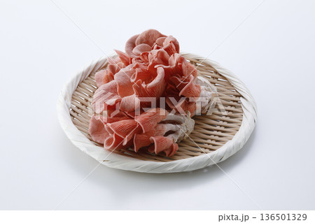 笊に盛ったトキイロヒラタケ　白背景 136501329