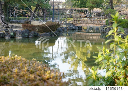 水鏡のような池のある風景 中村公園 水鏡のような池のある風景 中村公園 136501684