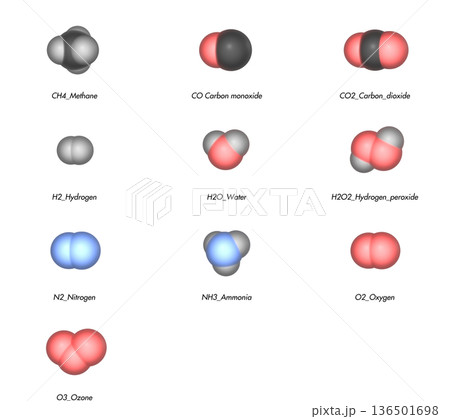 分子ライブラリー No.1 基本分子コレクション 136501698