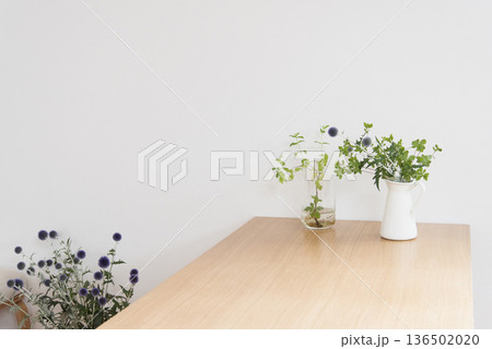 机の上に置かれた観葉植物 136502020