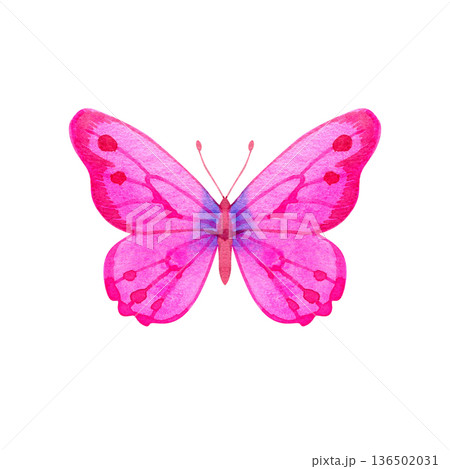 Hand-painted watercolor illustration of a beautiful pink butterfly with subtle purple and magenta accents. This delicate insect features a symmetric wing design with soft textures, perfect for 136502031