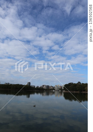 2024年・福岡・福岡市・風景・中央区大濠公園・大濠公園・其の八 2024年・福岡・福岡市・風景・中央区大濠公園・大濠公園・其の八 136502568