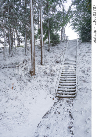 雪が積もる石座神社 雪が積もる石座神社 136502787