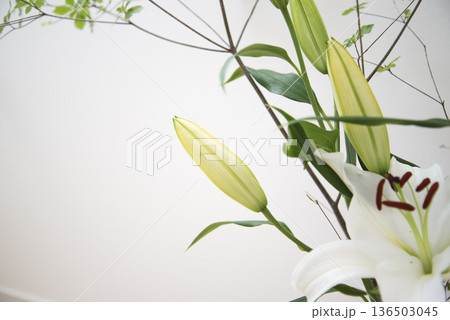 百合の花のクローズアップ　白背景 136503045