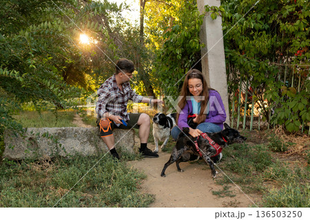 Father and daughter spending time with dogs outdoors Father and daughter spending time with dogs outdoors 136503250
