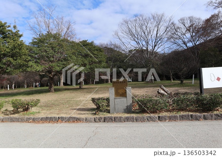 2024年・福岡・福岡市・風景・中央区大濠公園・大濠公園周辺・其の二十八 136503342