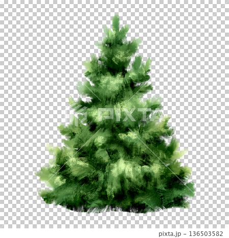 Hand drawn illustration of a lush green fir tree isolated on a white background. Festive evergreen spruce for Christmas greeting cards, winter holiday designs, and seasonal nature posters Hand drawn illustration of a lush green fir tree isolated on a white background. Festive evergreen spruce for Christmas greeting cards, winter holiday designs, and seasonal nature posters 136503582