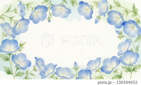 透明感のある花のフレーム 136504052