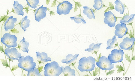 淡い水彩のネモフィラ素材 136504054