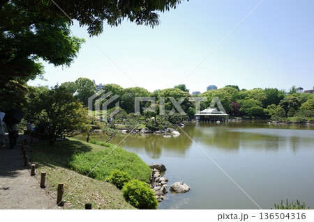 日本庭園の池と東屋の風景 日本庭園の池と東屋の風景 136504316