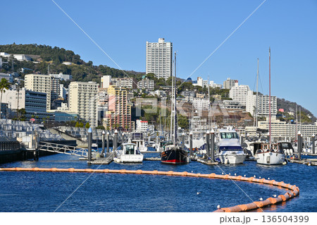 熱海温泉街の街並み 136504399