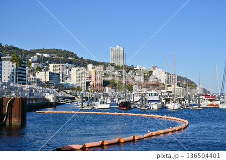 熱海温泉街の街並み 136504401