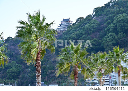 熱海温泉街の街並み 熱海温泉街の街並み 136504411
