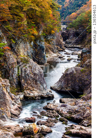 【栃木県_龍王峡】駅を降りると其所には黄葉と岩と水の公園 龍王峡 136504613
