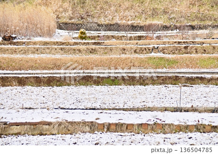 あぜ道と雪の降った田んぼの作り出す冬景色 136504785