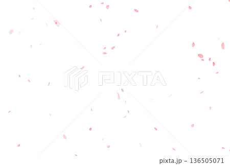 背景素材_花吹雪_白背景 背景素材_花吹雪_白背景 136505071
