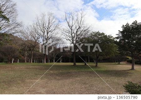 2024年・福岡・福岡市・風景・中央区大濠公園・大濠公園・其の十二 2024年・福岡・福岡市・風景・中央区大濠公園・大濠公園・其の十二 136505790