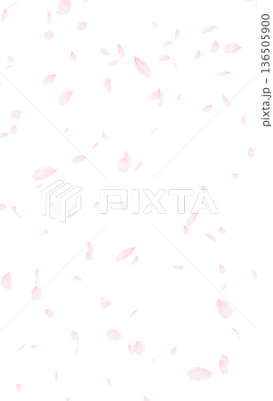 背景素材_桜吹雪 136505900