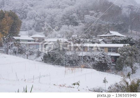 吾妻山麓の農村 雪が積も秦野の田舎景色 吾妻山麓の農村 雪が積も秦野の田舎景色 136505940