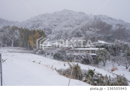 吾妻山麓の農村 雪が積も秦野の田舎景色 吾妻山麓の農村 雪が積も秦野の田舎景色 136505943