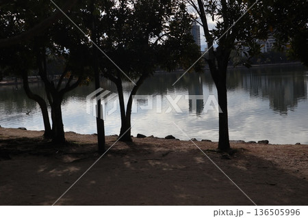 2024年・福岡・福岡市・風景・中央区大濠公園・大濠公園・其の十三 136505996