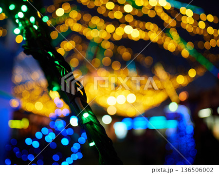 夜の遊園地の美しいイルミネーションの風景	 136506002