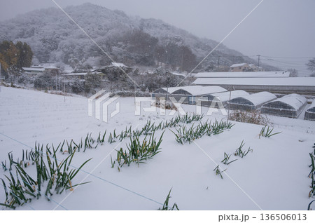 吾妻山麓の雪景色 北矢名の冬景色 吾妻山麓の雪景色 北矢名の冬景色 136506013