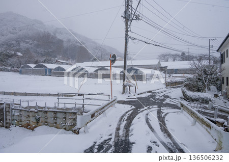蛇久保橋の雪景色　秦野市北矢名 136506232