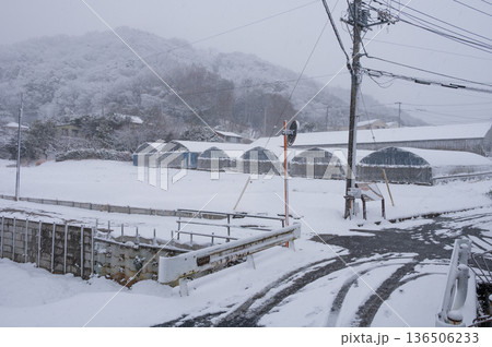 蛇久保橋の雪景色　秦野市北矢名 136506233