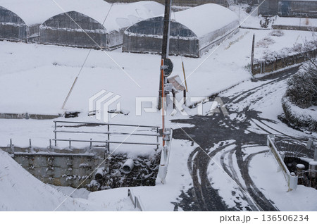 蛇久保橋の雪景色　秦野市北矢名 136506234