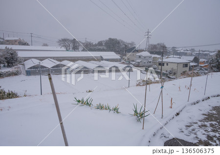 北矢名の雪景色 北矢名の雪景色 136506375