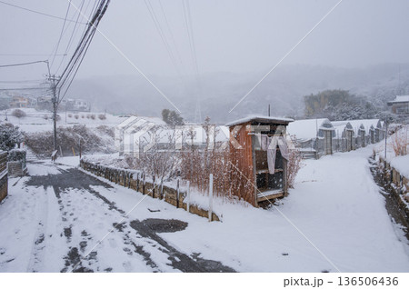 雪景色の農村風景　冬の北矢名　秦野市 136506436