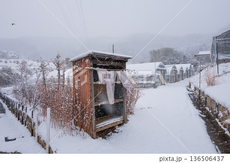 雪景色の農村風景 冬の北矢名 秦野市 雪景色の農村風景 冬の北矢名 秦野市 136506437