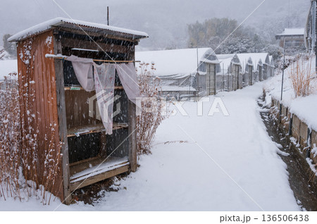 雪景色の農村風景 冬の北矢名 秦野市 雪景色の農村風景 冬の北矢名 秦野市 136506438
