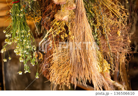 Dried bunches of medicinal herbs hang in a village herbal pharmacy. Mint, lemon balm, chamomile, and calendula are good for health, close-up Dried bunches of medicinal herbs hang in a village herbal pharmacy. Mint, lemon balm, chamomile, and calendula are good for health, close-up 136506610