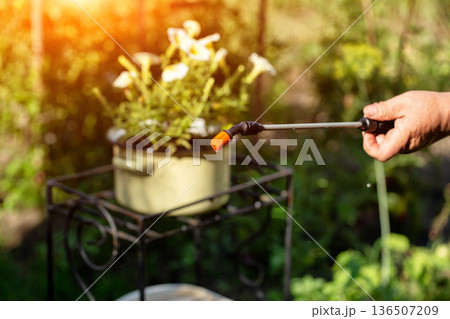 Sprayer rod against the background of plants in the country. Spraying concept for plant feeding and growth, industry Sprayer rod against the background of plants in the country. Spraying concept for plant feeding and growth, industry 136507209